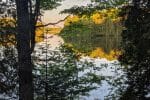 IMG_20200609_194742