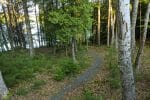 path-to-the-water